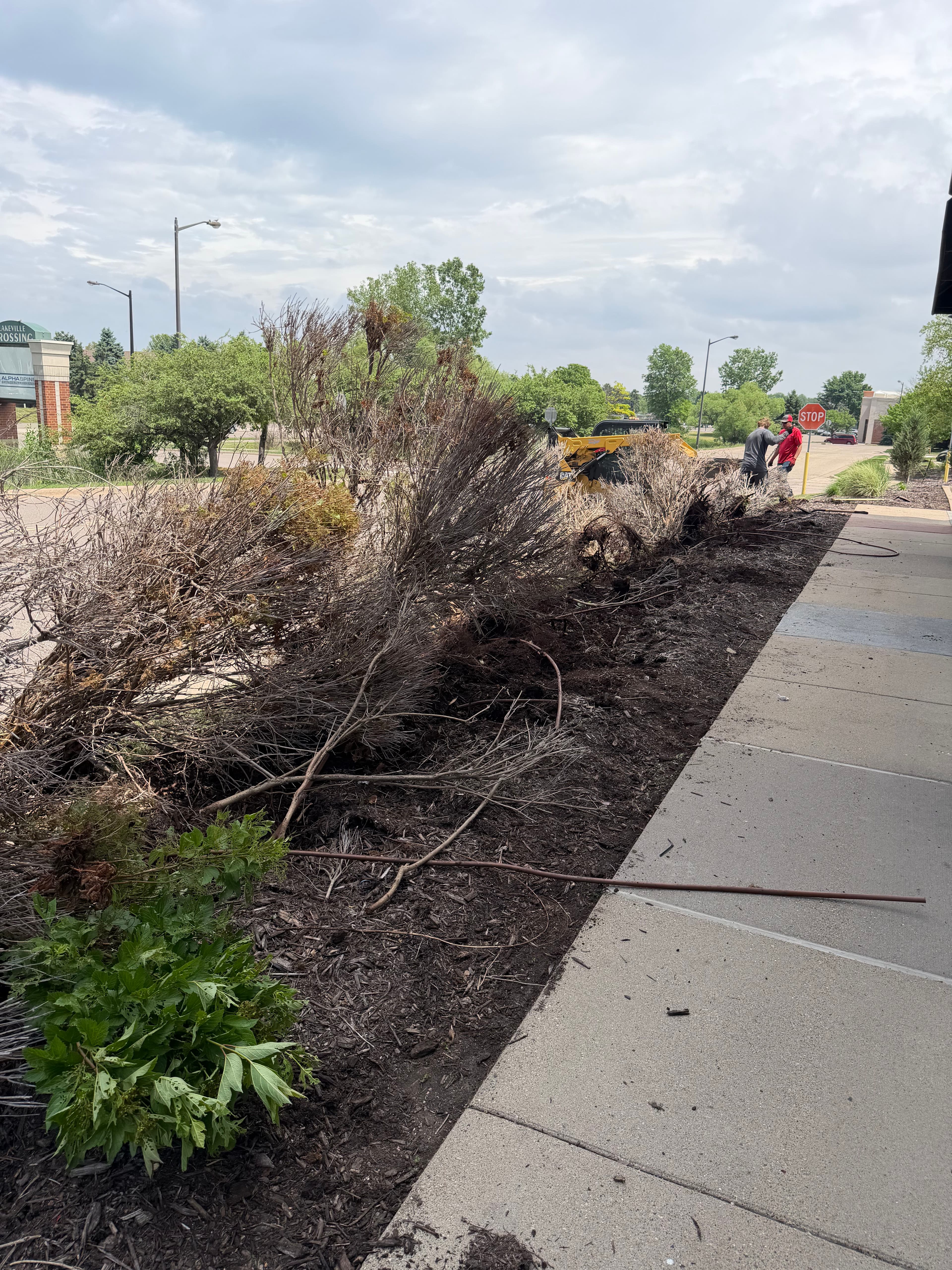 Project Commercial Landscape Bed Refresh at a Minnesota Strip Mall image