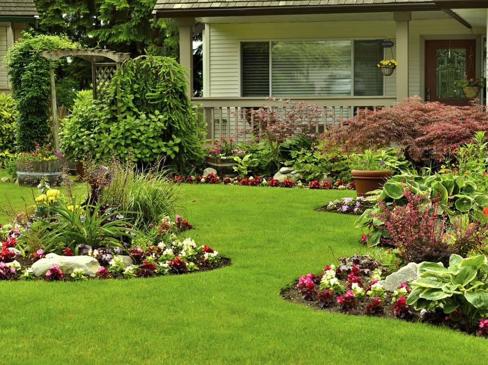 Gallery photos for Landscape Design That Actually Works for Your Yard: Image #2