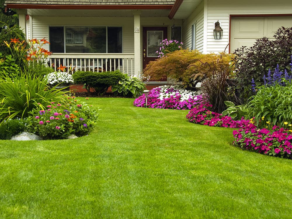Gallery photos for Clean Cuts and Curb Appeal That Actually Gets Noticed: Image #2