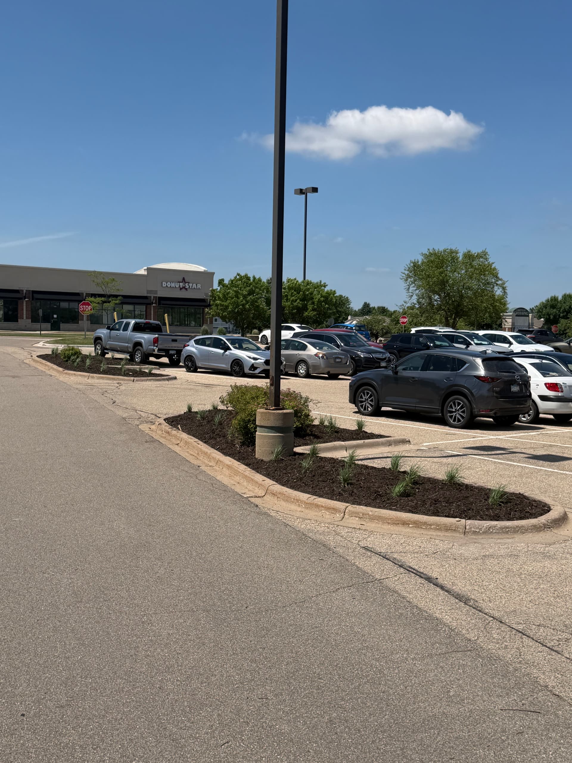Gallery photos for Commercial Landscape Bed Refresh at a Minnesota Strip Mall: Image #6