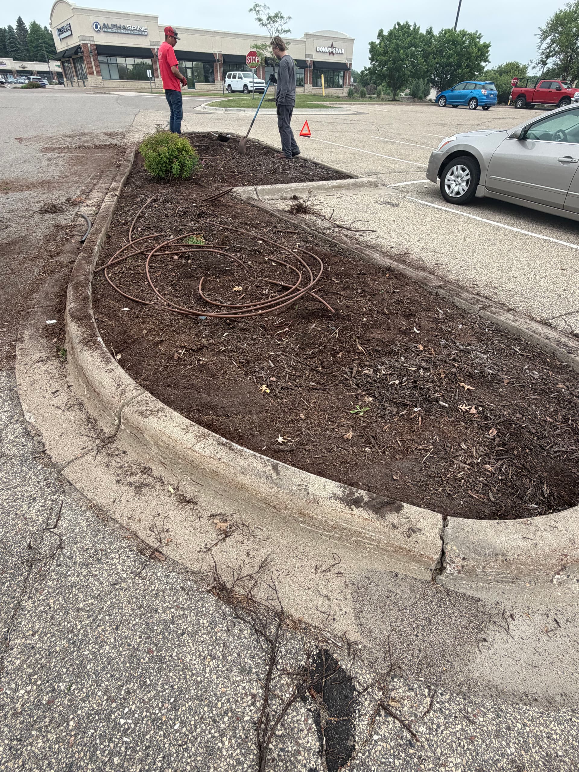 Gallery photos for Commercial Landscape Bed Refresh at a Minnesota Strip Mall: Image #2