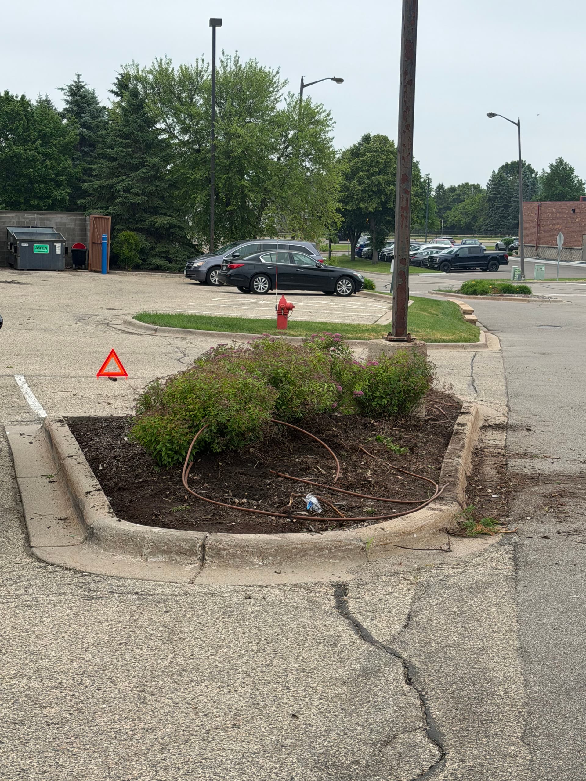 Gallery photos for Commercial Landscape Bed Refresh at a Minnesota Strip Mall: Image #5