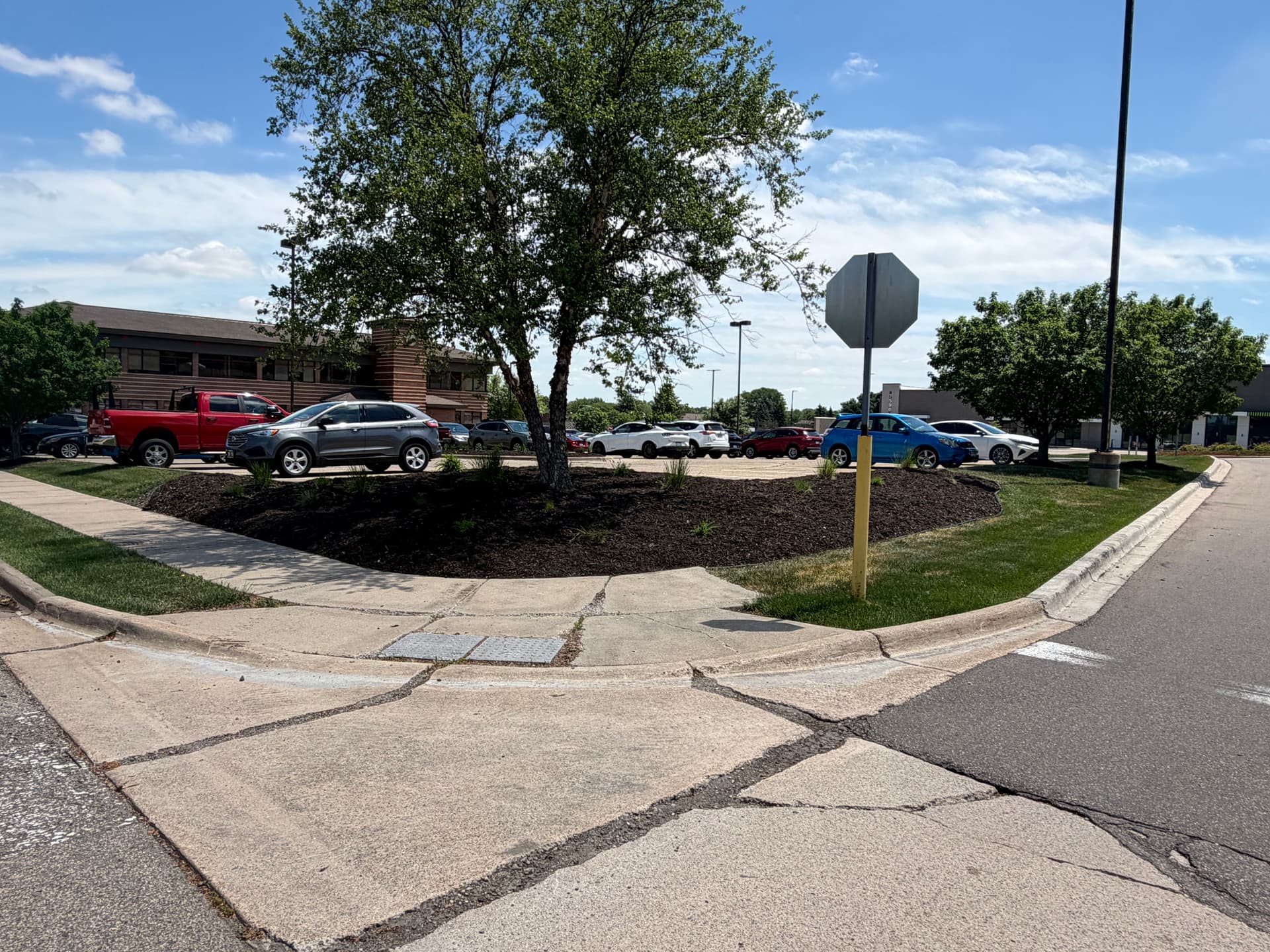 Gallery photos for Commercial Landscape Bed Refresh at a Minnesota Strip Mall: Image #8
