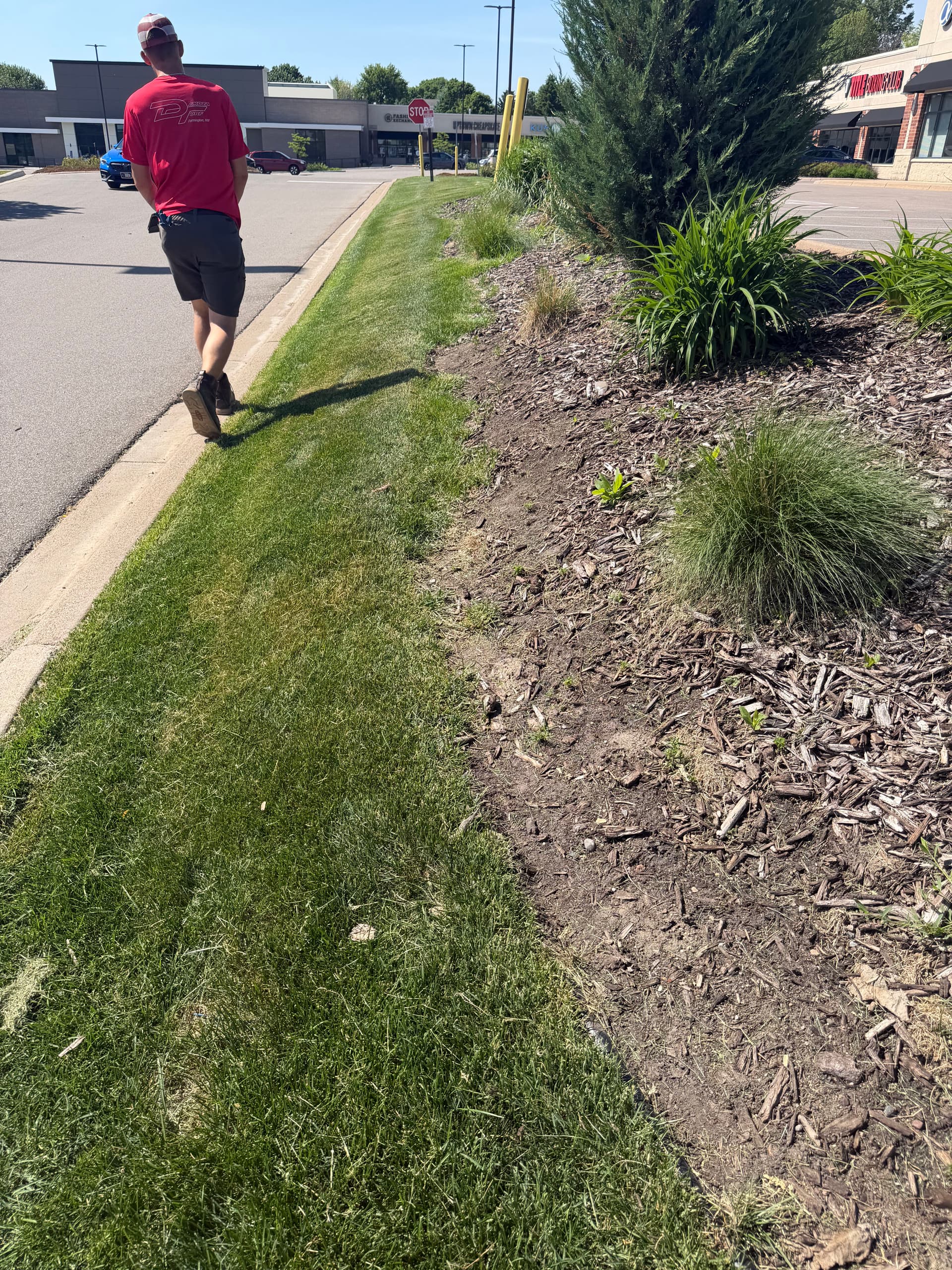 Gallery photos for Commercial Landscape Bed Refresh at a Minnesota Strip Mall: Image #3