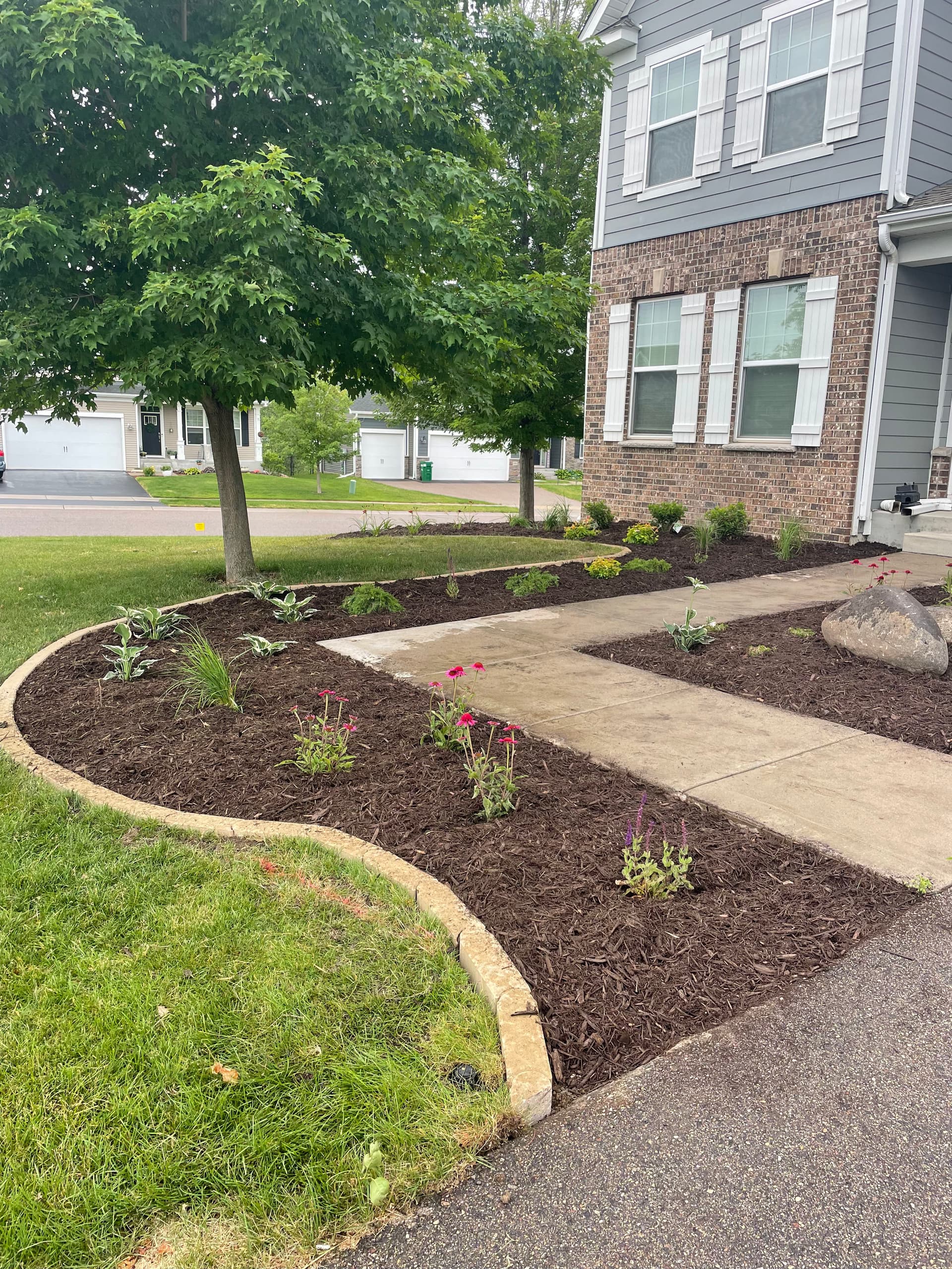 Gallery photos for Fresh Mulch, Clean Edges and a Planting Refresh That Actually Works: Image #2