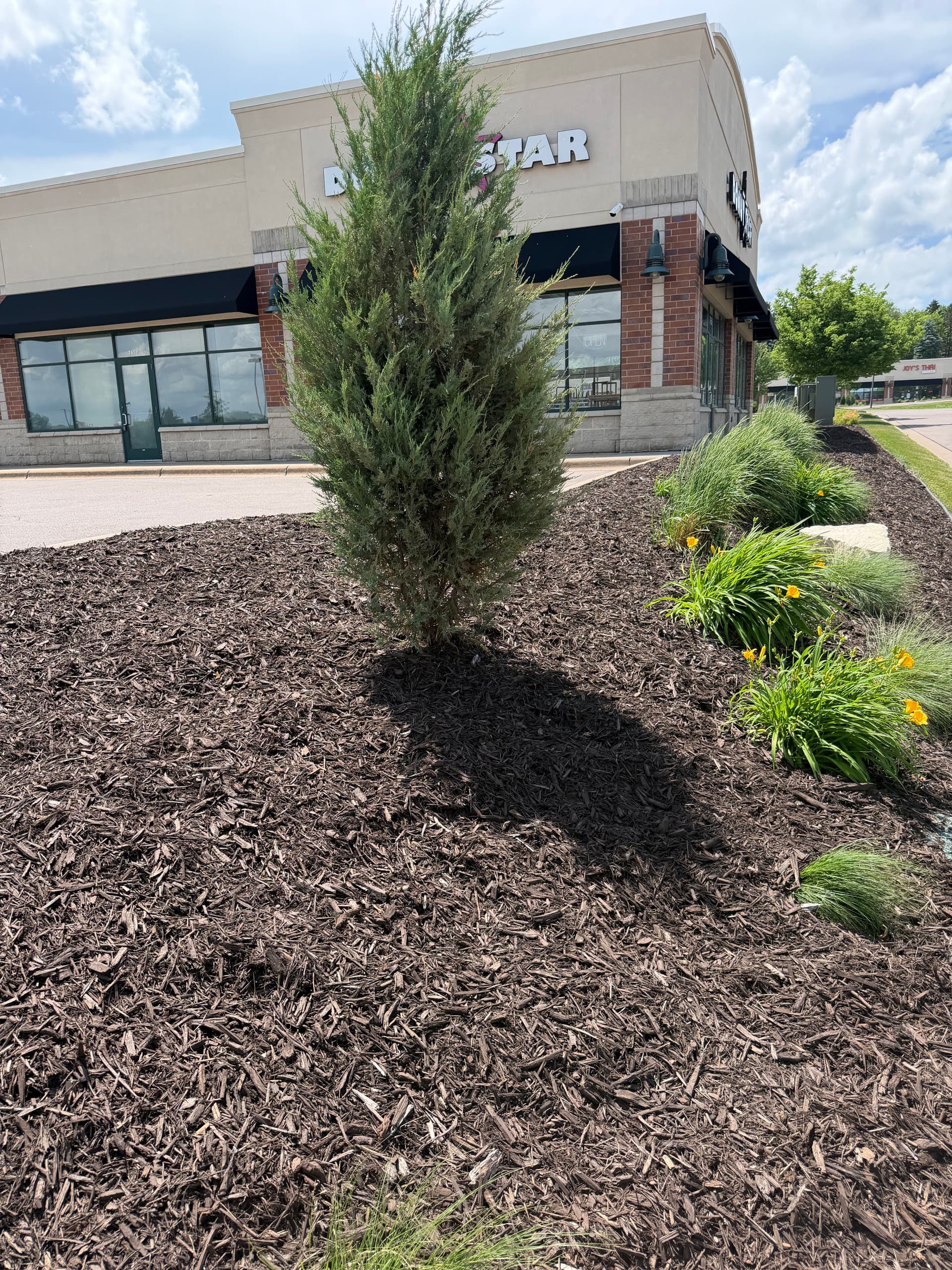 Gallery photos for Commercial Landscape Bed Refresh at a Minnesota Strip Mall: Image #4