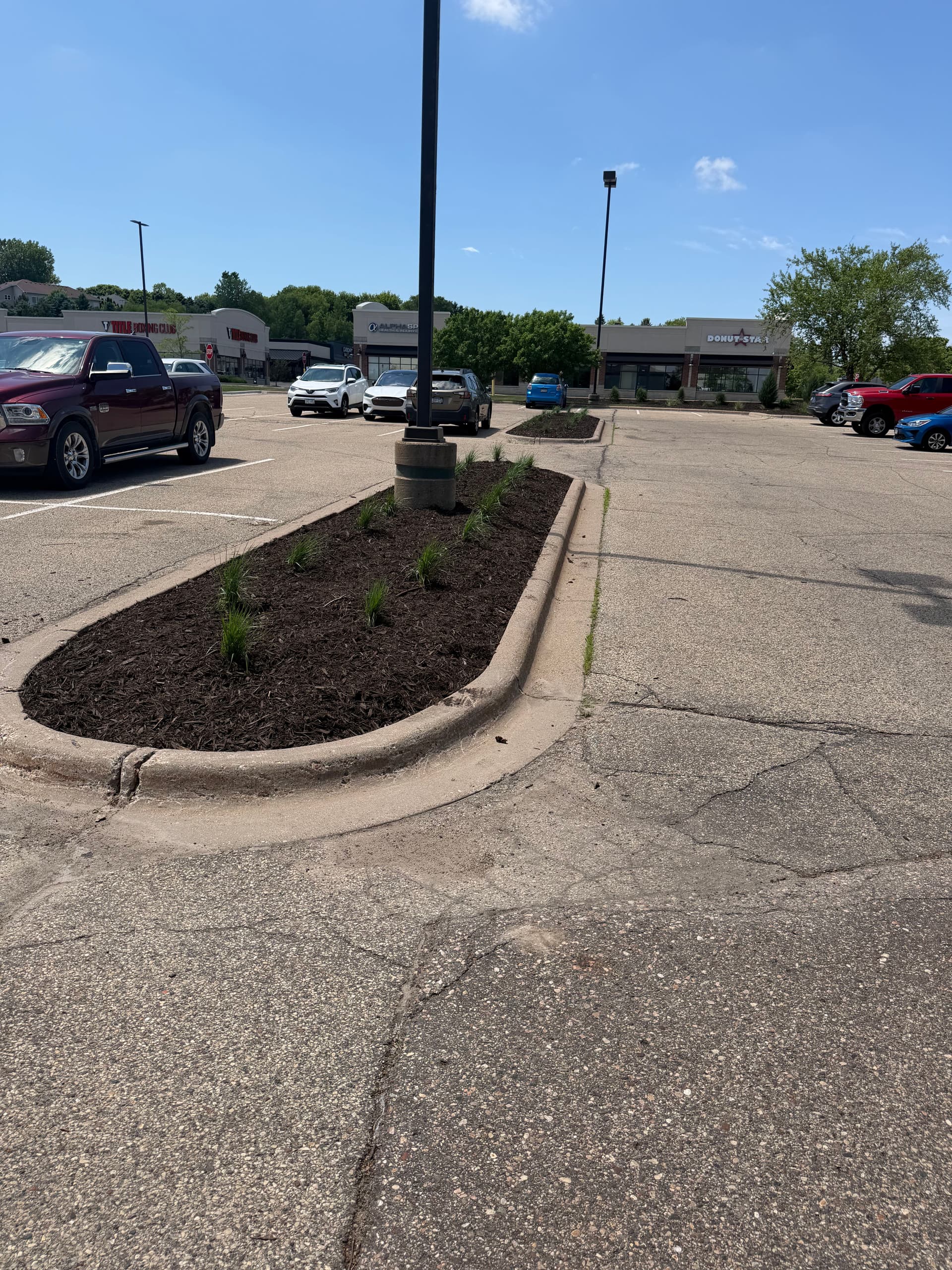 Gallery photos for Commercial Landscape Bed Refresh at a Minnesota Strip Mall: Image #7